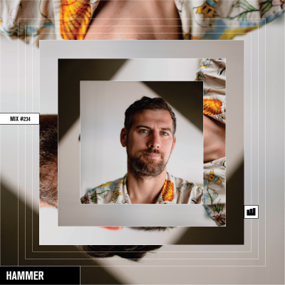 Wild City #234: Hammer